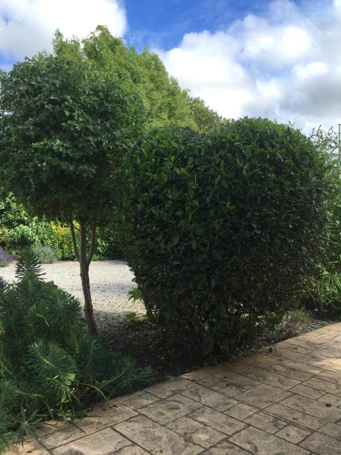 The Hawthornes Licensed Guest House Knottingly Exterior foto